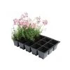 Kweektrays 15 Cellen - Professioneel - Set Van 5 Stuks -Buiten Tuin Verpleging kweektrays 15 cellen professioneel 1497948812 1 600