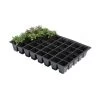 Kweektrays 40 Cellen - Professioneel - Set Van 5 Stuks -Buiten Tuin Verpleging kweektrays 40 cellen professioneel 1497949475 1 600