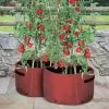 Kweekzak Tomaten 40 Liter - Set Van 2 Stuks -Buiten Tuin Verpleging kweekzak voor tomaten 40 liter 1487756657 0 600