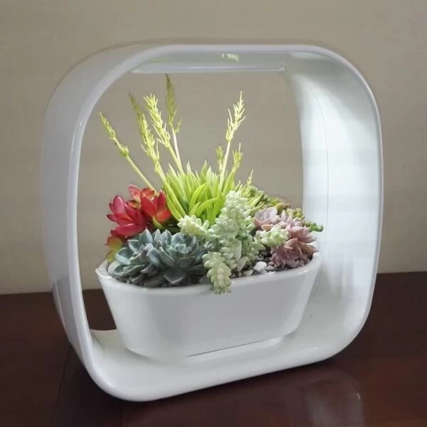 Mini Tuin 'Jardin Secret' - Ledverlichting 4 Mini Tuin 'Jardin Secret' - Ledverlichting - Afbeelding 2