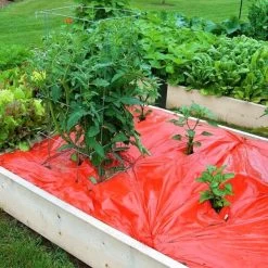 Rode Folie Voor Een Betere Plantengroei -Buiten Tuin Verpleging mulchfolie 1577621986 1 600