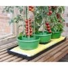 Plant- En Gietpot Groen - Set Van 3 Stuks -Buiten Tuin Verpleging plant en gietpot 1484054799 1 600