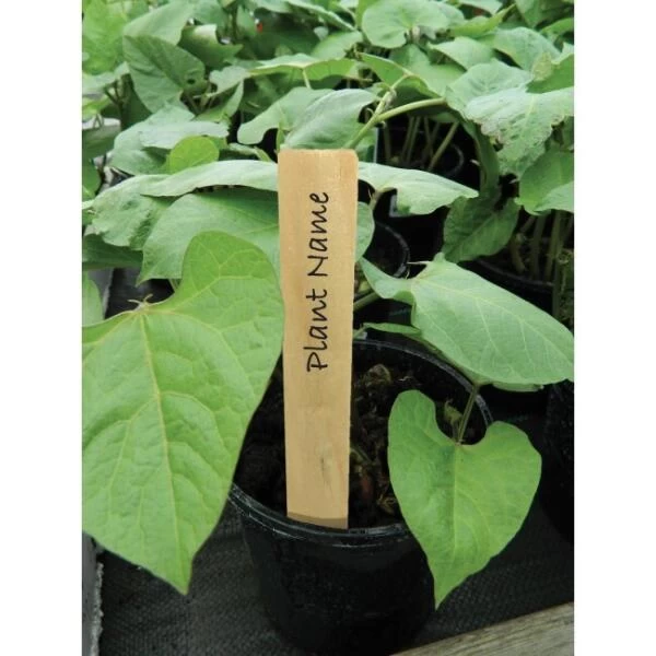 Plantenlabels Hout - 10 Cm - Set Van 10 Stuks 4 Plantenlabels Hout - 10 Cm - Set Van 10 Stuks - Afbeelding 2