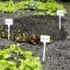 Plantenbordjes Extra Hoog - Set Van 5 Stuks -Buiten Tuin Verpleging plantenlabels wit 1484056717 1 600