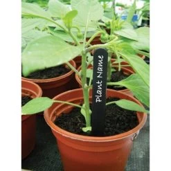 Plantenlabels Zwart Kunststof - 20 Cm - Set Van 20 Stuks -Buiten Tuin Verpleging plantenlabels zwart 20 cm 1608551056 2 600