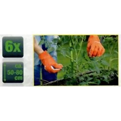 Plantenstaken Uitschuifbaar 50 Tot 80 Cm - Set Van 6 Stuks -Buiten Tuin Verpleging plantenstaken uitschuifbaar 1573129550 1 600