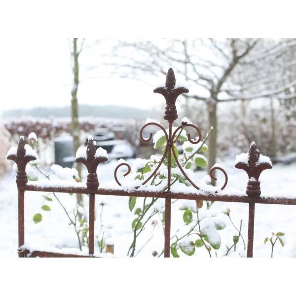 ESSCHERT DESIGN Plantensteun Franse Lelie - Roestiek 4 ESSCHERT DESIGN Plantensteun Franse Lelie - Roestiek - Afbeelding 2