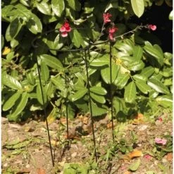 Plantensteun Rond 20 × 50 Cm -Buiten Tuin Verpleging plantensteun rond 20 x 50 cm 1518783450 1 600