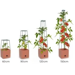 Plantentoren Maxitom Met Waterreservoir - Terracotta -Buiten Tuin Verpleging plantentoren maxitom terracotta 1680165024 1 600