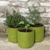 Plantzakken 5 Liter Vigoroot - Set Van 3 Stuks -Buiten Tuin Verpleging plantzakken 5 liter vigoroot 1487757618 0 600
