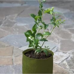 Plantzakken 5 Liter Vigoroot - Set Van 3 Stuks -Buiten Tuin Verpleging plantzakken 5 liter vigoroot 1487757667 0 600