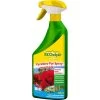 Ecostyle Pyrethro-Pur Gebruiksklare Bio-insecticide 750 Ml -Buiten Tuin Verpleging pyrethro spray bio gebruiksklaar 750 ml 1484062765 1 600