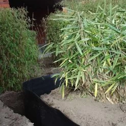 Rootblock Professionele Wortelwering 60 Cm Hoog - / Strekkende Meter -Buiten Tuin Verpleging rootblock professionele wortelwering 1552733360 3 600