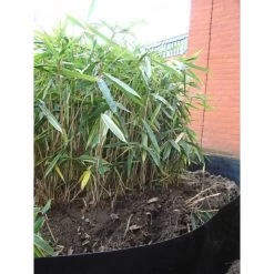 Rootblock Professionele Wortelwering 60 Cm Hoog - / Strekkende Meter -Buiten Tuin Verpleging rootblock professionele wortelwering 1552733360 5 600