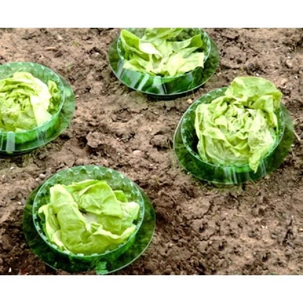 Slakken Beschermringen - Set Van 6 Stuks 4 Slakken Beschermringen - Set Van 6 Stuks - Afbeelding 2