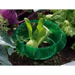 Slakken Beschermringen - Set Van 6 Stuks 7 Slakken Beschermringen - Set Van 6 Stuks -Buiten Tuin Verpleging slakken beschermingsringen 1484053655 3 600