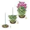Steunringen Voor Planten Ø 30 Cm - Kunststof - Set Van 2 Stuks -Buiten Tuin Verpleging steunringen 1490175532 1 600