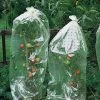 Tomatenhoezen 10 × 0,65 M -Buiten Tuin Verpleging tomatenhoezen 10 x 065 m 1484053065 1 600
