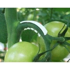 Tomaten Trossteun Wit - Set Van 100 Stuks -Buiten Tuin Verpleging tomatentrossteunen 1484056718 3 600