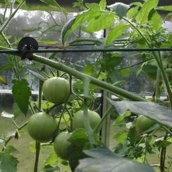 Tree-fix Boombinder 8 Cm - Set Van 50 Stuks -Buiten Tuin Verpleging treefix boombinder 8 cm 1547125995 3 600