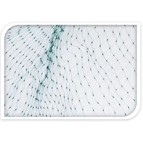 Tuinnet Fijnmazig - 2 × 5 M Groen 4 Tuinnet Fijnmazig - 2 × 5 M Groen - Afbeelding 2