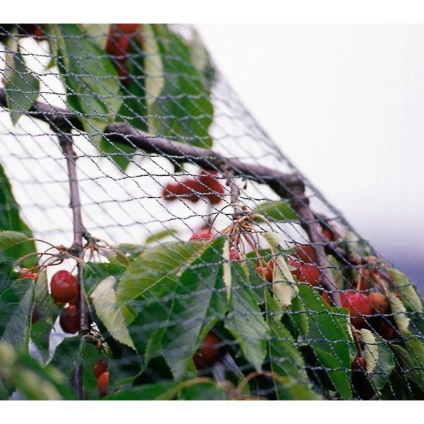 Tuinnet Grofmazig 2 M × 10 M 3 Tuinnet Grofmazig 2 M × 10 M