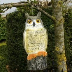 Uil Front - Vogelverschrikker -Buiten Tuin Verpleging uil front vogelverschrikker 1523282297 2 600