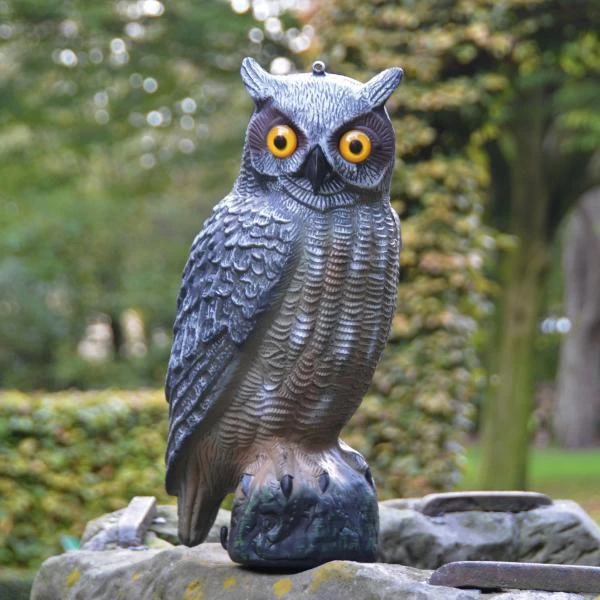 Buiten Tuin Verpleging -Buiten Tuin Verpleging uil vogelafschrikker 1484053959 2 600