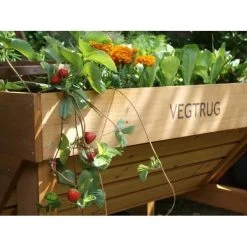 Vegtrug Verhoogde Kweektafel - 1 × 0,8 × 0,8 M 9 Vegtrug Verhoogde Kweektafel - 1 × 0,8 × 0,8 M -Buiten Tuin Verpleging vegtrug 1 m 1484054491 4 600