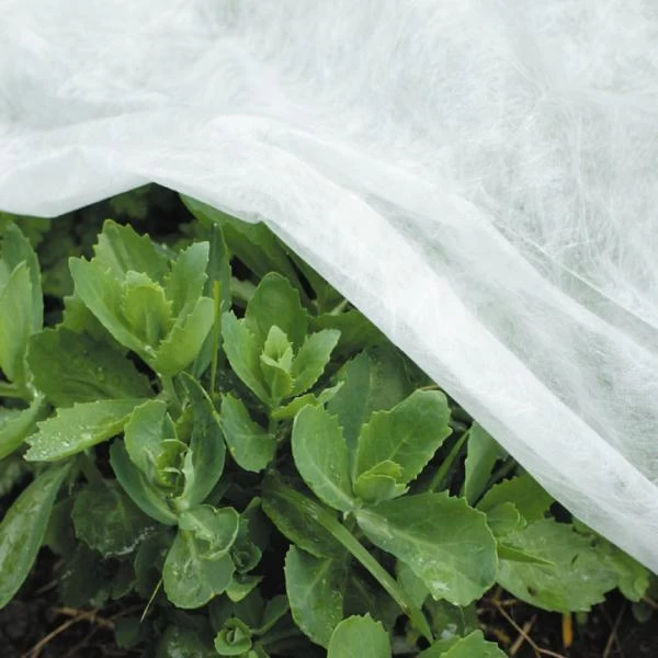 Vliesdoek - 5 × 1,6 Meter - 17 G/m² 3 Vliesdoek - 5 × 1,6 Meter - 17 G/m²