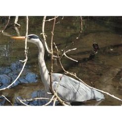 Vogelafschrik Vlaggen - Set Van 3 Stuks 11 Vogelafschrik Vlaggen - Set Van 3 Stuks -Buiten Tuin Verpleging vogelafschrik vlaggen 1541778804 1 600