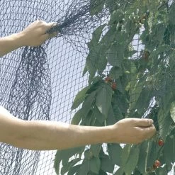Vogelnet Beschermnet - Pronet 5 × 12 M -Buiten Tuin Verpleging vogelnet pronet 5 x 12 m 1630492275 2 600