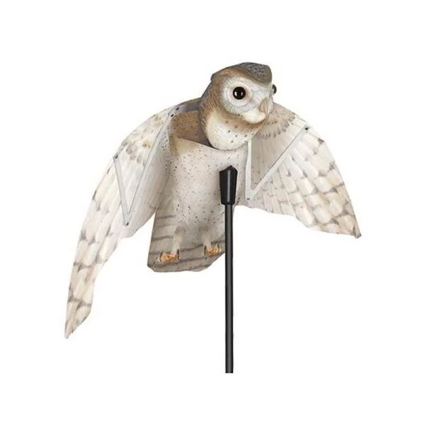 Vogelverjager Kerkuil - Vliegend 3 Vogelverjager Kerkuil - Vliegend