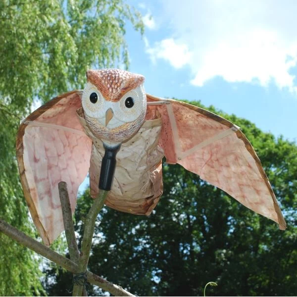 Vogelverjager Kerkuil - Vliegend 6 Vogelverjager Kerkuil - Vliegend - Afbeelding 4