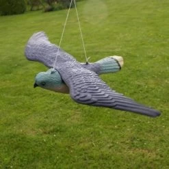 Torenvalk Als Vogelschrik