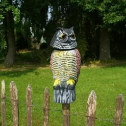 Roterende Uil Gele Borst - Vogelverschrikker